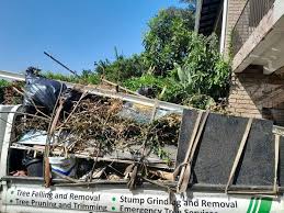 Best Shed Removal  in South Highpoint, FL